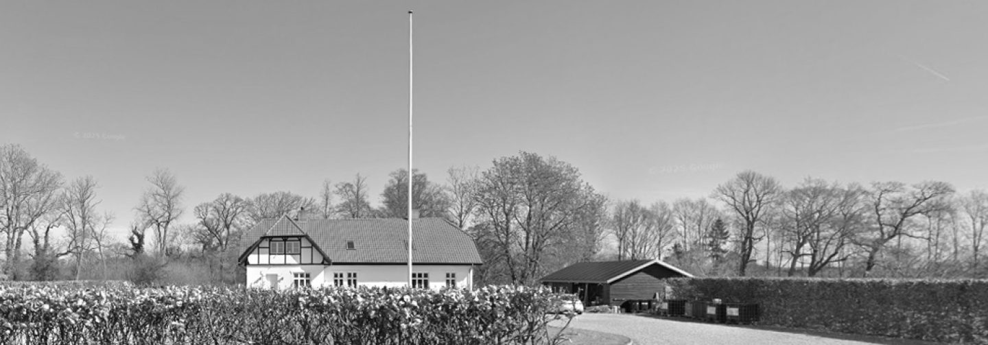 image 29
